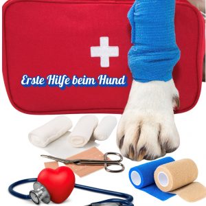 Erste Hilfe beim Hund <br>(Online Fortbildung Video)